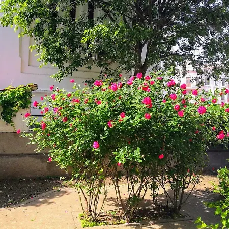 Apartament Promenada