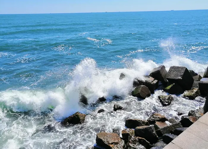 Promenada コンスタンツァ